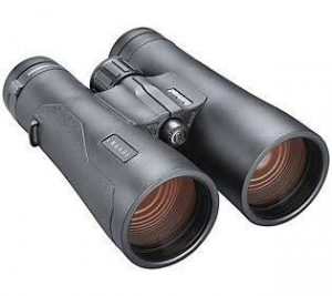 how binoculars work