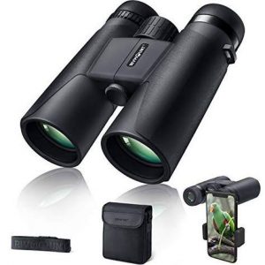 binoculars under $300
