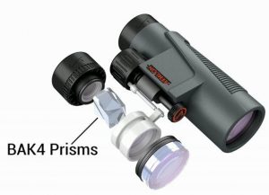 Prisms for binoculars